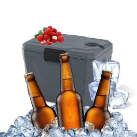 Portable Cooler Hard Shell Ice Chest for Outdoor Picnic (Color: Grey, Type: Coolers)
